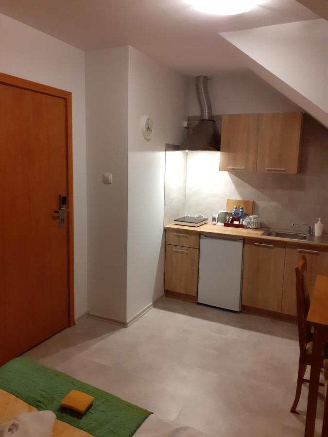ApartHotel Arkadia Plock Bagian luar foto